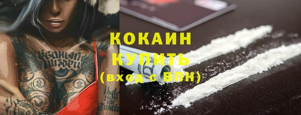 ГАЛЛЮЦИНОГЕННЫЕ ГРИБЫ Медвежьегорск