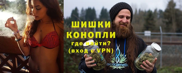 ГАЛЛЮЦИНОГЕННЫЕ ГРИБЫ Медвежьегорск