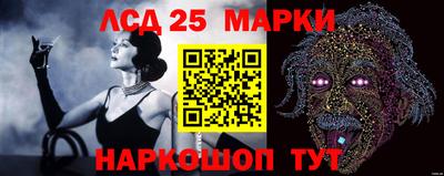 эйфоретик Берёзовский