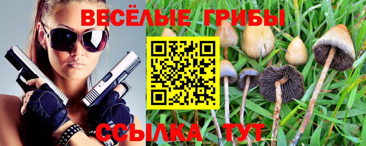 Галлюциногенные грибы GOLDEN TEACHER Выкса