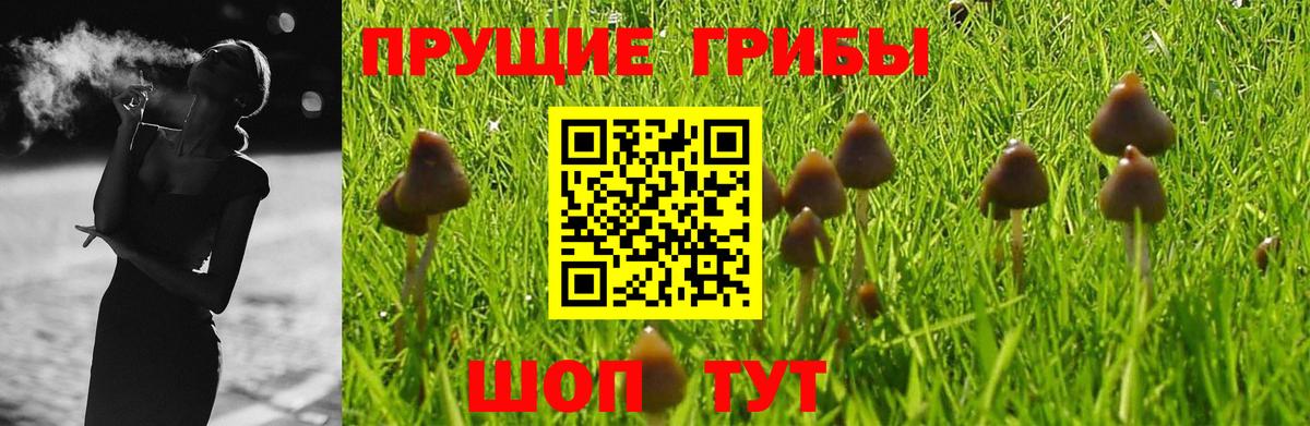 Галлюциногенные грибы Magic Shrooms Выкса