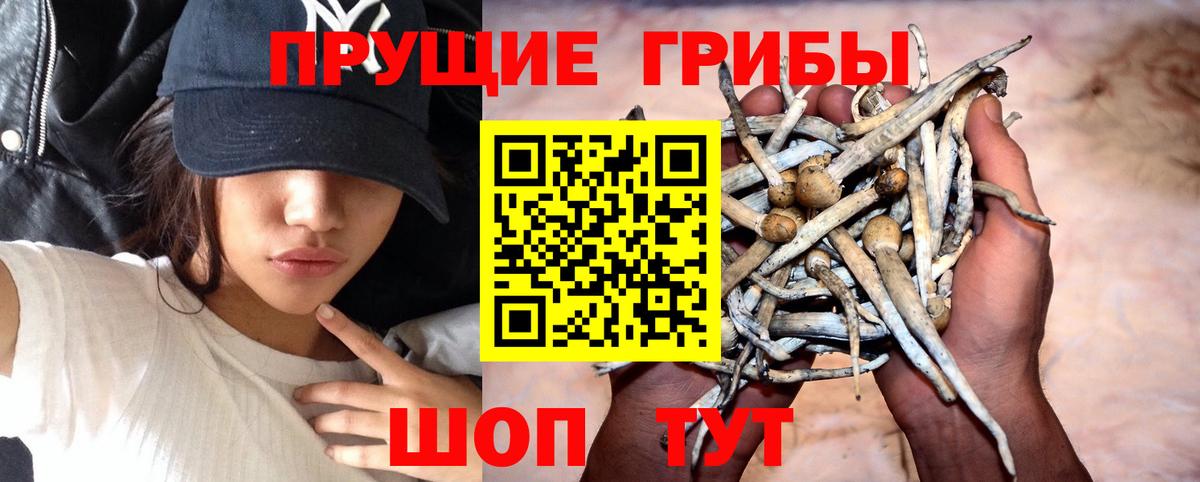 Псилоцибиновые грибы ЛСД  Псилоцибиновые грибы Magic Shrooms  Вход с VPN  Выкса 